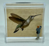 Steven Schwab - Magnet Box - A 53rd of a second caught on camera!