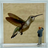 Steven Schwab - Magnet Box - A 53rd of a second caught on camera!