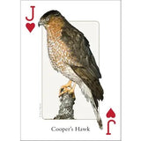 Playing Cards - Birds of Midwest