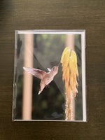 Steven Schwab - Hummingbird on Yellow Greeting Card
