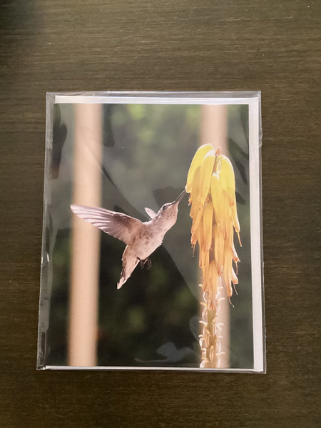 Steven Schwab - Hummingbird on Yellow Greeting Card