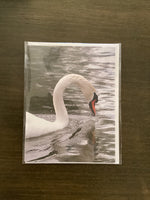 Steven Schwab - Swan Greeting Card