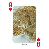 Playing Cards - Mammals of Midwest