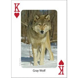 Playing Cards - Mammals of Midwest
