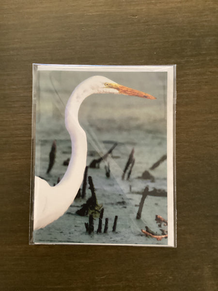 Steven Schwab - Egret Greeting Card