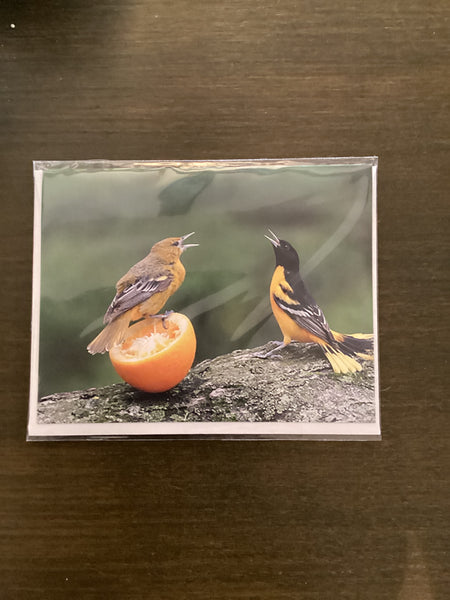 Steven Schwab - Baltimore Orioles Greeting Card
