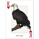 Playing Cards - Birds of Midwest