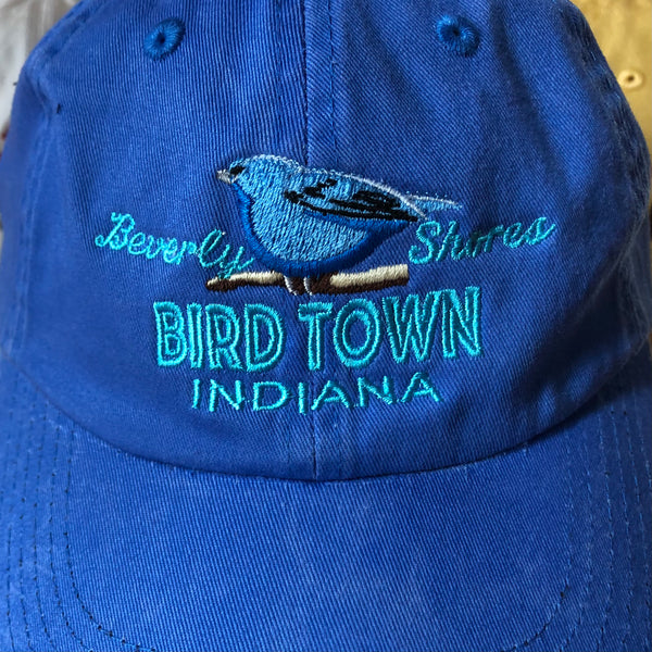 Bird Town Baseball Cap - Blue