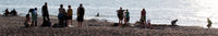 Robert Stanley - People silhouetted, beach