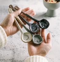 Ceramic Multi-purpose Spoon -Black