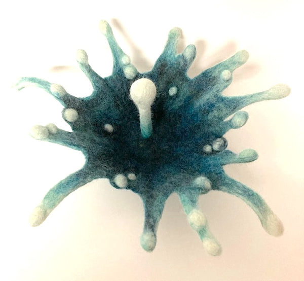 Kelley VonDorn - Splash