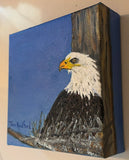5x5 Jan Radford - Beverly Shores Nesting Eagle