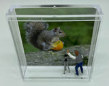 Steven Schwab - Magnet Box - "Say Cheese" Squirrel Diorama