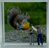 Steven Schwab - Magnet Box - "Say Cheese" Squirrel Diorama