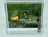 Steven Schwab - Magnet Box - Get off my orange!  Diorama