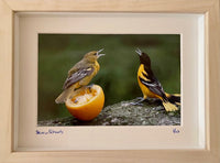 Steven Schwab - Giclee Print - Baltimore Orioles Pair - Small